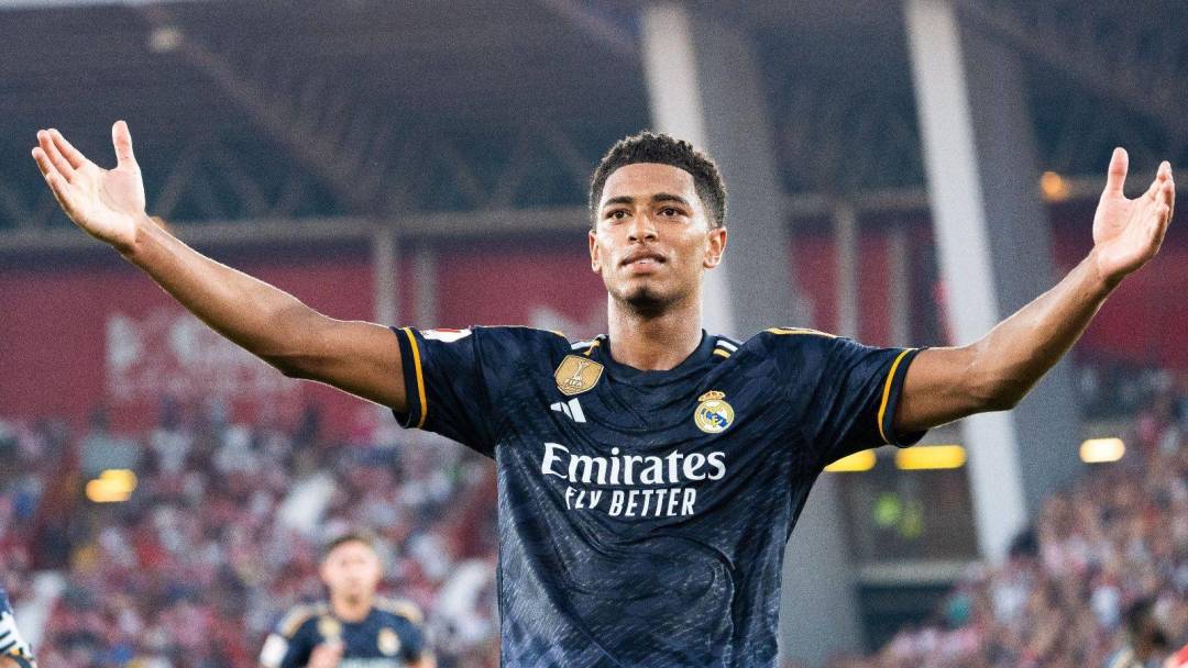 视野开阔且 视野开阔且