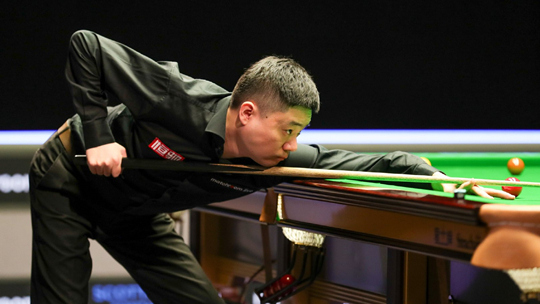 意志品质的 意志品质的